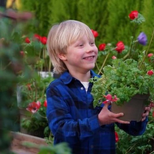 Discover Free Gardening Workshops at Dobbies Garden Centre!