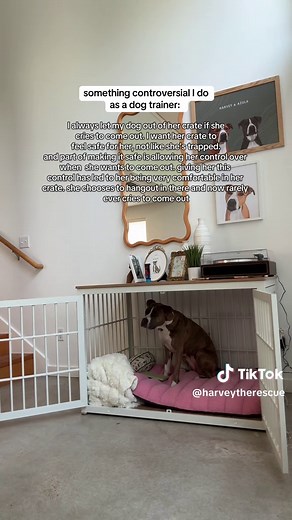 Abby (KPA-CTP) on TikTok