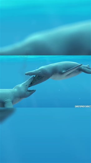 La Fin Du Pliosaurus, Mais Pas Celle Des Pliosaures...