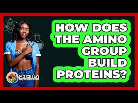 How Does The Amino Group Build Proteins? - Chemistry For Everyone