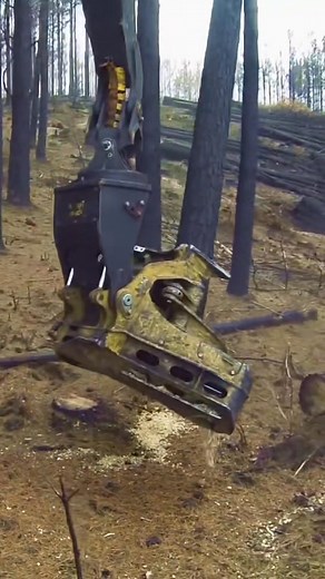 34K views · 432 reactions | How to logging work #skidder #forestry #logging #bigtrucks | Florence Marigold | Facebook