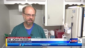 Rising asphalt temperatures pose serious risk to pets