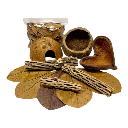 Deluxe Hermit Crab Habitat Starter Kit: Natural Botanicals & Decor - Etsy