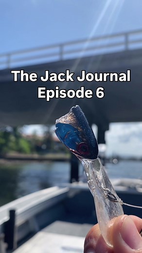 The Jack Journal Episode 6 #fishtok #fishingtiktoks #howtofish #fishingaustralia #lurefishing
