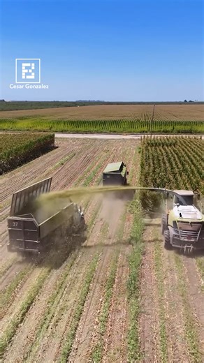 554K views · 2.2K reactions | Tractor Unloading Fresh Corn Into Trailer | Fossbytes | Facebook