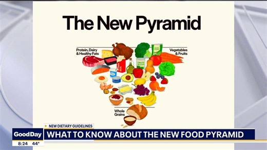 USDA's new food pyramid explained