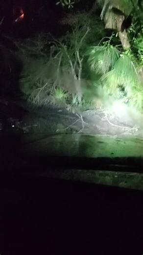 Experience the Thrill of Off-Roading in Florida