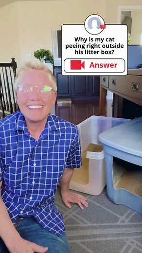 23K views · 600 reactions | Peeing outside the litter box | The Two Crazy Cat Ladies | Facebook