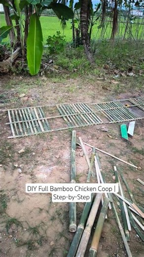 DIY Full Bamboo Chicken Coop | Step by Step