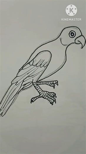Quick and easy simple parrot drawing #art #shortsfeed #easydrawing #youtube #short #trending