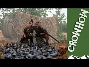 Hannah Gibson hits the pigeons - Crowhow