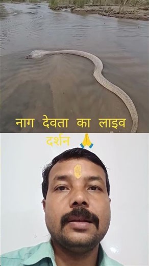 नाग देवता का लाइव दर्शन nag Devta# ka live darshan# video#🙏🪱🐍🌺