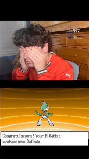 What Will B-Rabbit Evolve Into??