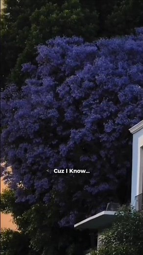 2AM - JustaTee feat Big Daddy