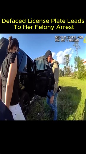 Defaced License Plate Leads to Her Felony Arrest | Bachelor Mama