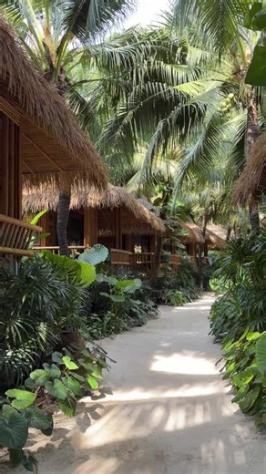 Video di Daniel_ungaro (@daniel_ungaro) con Tender String Promise - Instrumental Music Spectrum