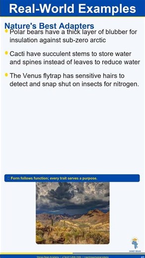 What is Adaptation in Organisms? Biology Made Simple