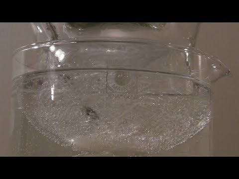 The synthesis of ethyl formate