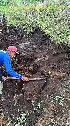 Digging Deep: How Traditional Farming Techniques Nourish the Land