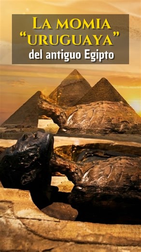 Luis Molina on Instagram: "¿Sabías que en pleno centro de Montevideo descansa una sacerdotisa egipcia de 2.400 años? 🇺🇾✨ Se trata de Esoeris (o Aset Weret), una mujer que tañía el sistro (un antiguo instrumento musical) en el templo del dios Min y que llegó al Uruguay en 1889 de la mano del Ing. Luis Viglione. 🏺 Pertenecía a la dinastía ptolemaica, que fue la última etapa del Antiguo Egipto, durante la cual descendientes de los generales griegos de Alejandro Magno gobernaron como faraones, co