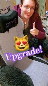 Secret Lab Chair Upgrade For Just $20!