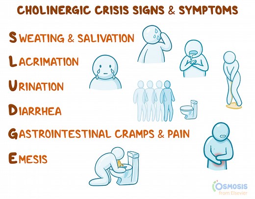 SLUDGE: Cholinergic Crisis Signs and Symptoms Acronym | Osmosis