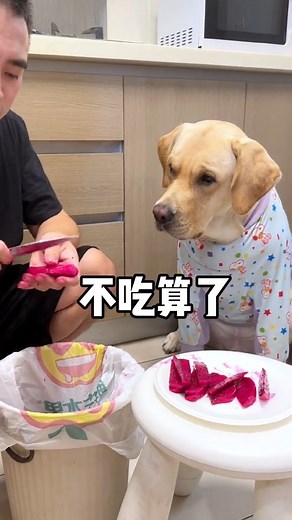 This dog has a big temper… 😡 | Hot-tempered dog