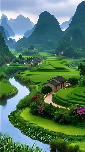 Breathtaking Moments in Nature | Short Nature Clips