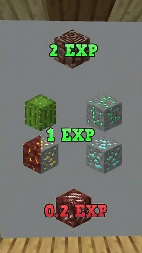 What Gives You The 😲MOST🤑 Exp While Smelting #Minecraft
