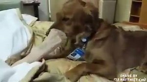 This will make you cry !!! | Story of Animals