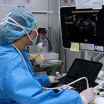 Video: A Rabbit Aortic Valve Stenosis Model Induced by Direct Balloon Injury