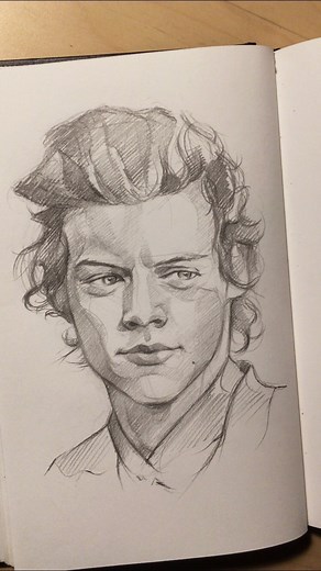 Anaïs on Instagram: "Here it is! I hope you like to see the process as much as I enjoyed drawing him✨ / @harrystyles ~ ~ ~ #harrystyles @hshq #mechanicalpencil #artvideo #processart #lineart #onedirection #pencilsketch #portraitdrawing"
