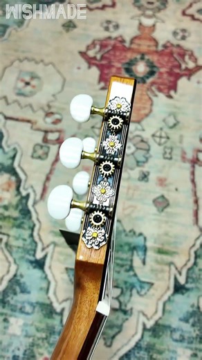 The CS-520 Guitar Has NO Soundhole? 😱Unboxing the Ultimate Modern Hollow-Body#classicalguitar#guitar