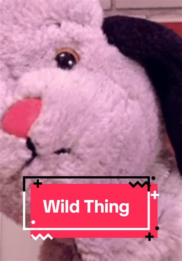 Discover the Wild Thing in Sooty and Sweep Adventures