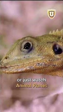 What is biodiversity and why does it matter? #extinction #biodiversity #curiosityu #environment