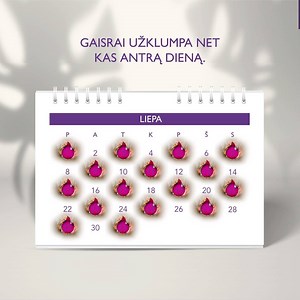 14K views · 20 reactions | Dalinamės karšta statistika – ar žinojote, jog mūsų šalies gyventojams su gaisrais kovoti tenka itin dažnai? Vien „Lietuvos draudimo“ klientams susidurti su ugnimi tenka net kas antrą dieną. Pasirūpink būsto draudimu iš anksto: https://www.ld.lt/ir-arkliui-aisku-dabar-draustis-apsimoka | Lietuvos draudimas | Facebook