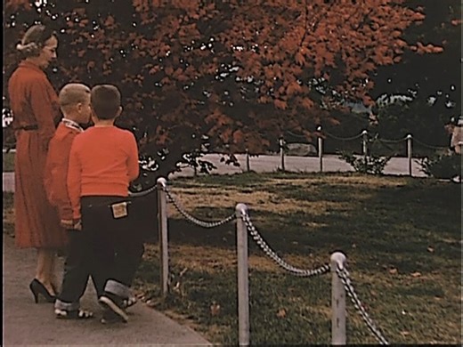 47K views · 482 reactions | The Second Narrows Bridge collapse in 1958. Of the 79 workers that fell from the bridge, 19 died, including 15 iron workers. Now named the Ironworkers Memorial Second Narrows Bridge. | Old Vancouver Series | Facebook