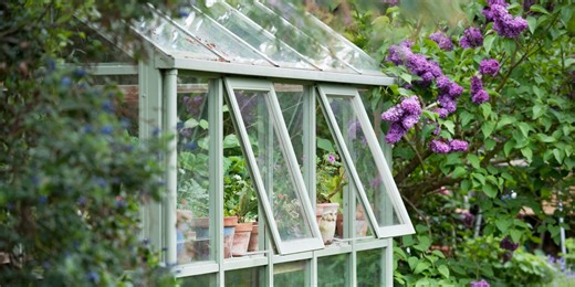 6 expert-backed tips to help keep your greenhouse clean and gleaming