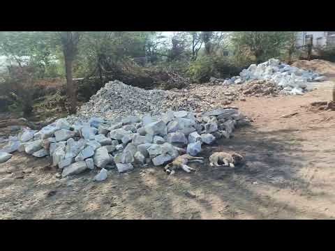 My New House Tech Setup | Smart Home Tour #shorts #viral #vlog #video