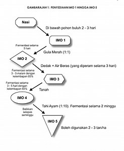 Natural Farming menitikberatkan peranan indigenous microorganism dan baja-baja NF dalam sistem perladangan. Mikroorganisma ini boleh dibiakkan melalui berbagai peringkat antaranya adalah proses penyediaan IMO 1 hingga IMO 5 . Penyediaan IMO 1 HINGGA IMO 5 👇🏽 #myDOA #NaturalFarming | Jabatan Pertanian Malaysia