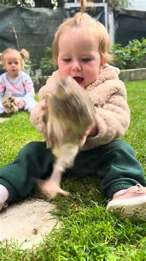 One Fluffy Friend / ViralHog #shorts #cutebaby #viral