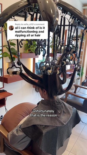 Korean Perm Hair Transformation: Before and After Results