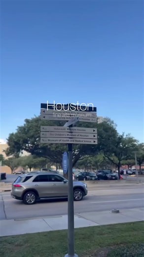 the Museum of Fine Arts, Houston