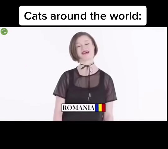 Cats in America: Unique Meows from Different Countries