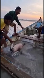 Epsilon Files on Reels