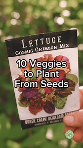 3.9K views · 62 reactions | Planting from seeds is a simple way to...