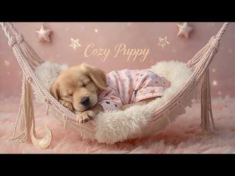 Cozy Baby Puppies Sleep LIVE 🐶 Peaceful Lullabies Music 12 Hours Relaxing