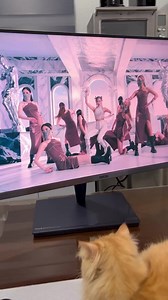 16K views · 418 reactions | This pro-grade monitor from ASUS is priced at PHP 204,990. It is more expensive than a lot of high-end laptops. Wild!  Story: https://bit.ly/3IJKXER #GIZGUIDEPH #GadgetCoach #TechPH #ASUSPH | GIZGUIDEPH | Facebook