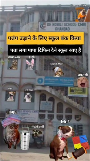 Ohh 💗😸 #funny #funnymemes #comedy #funnypictures #memes #funnyimages