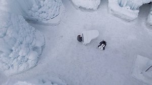 1.6K views · 41 reactions | The Piano Guys are coming to town!  ...